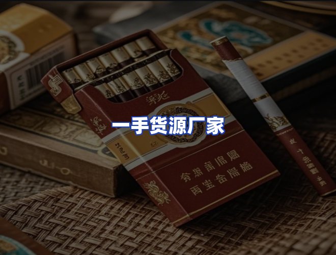 专业团队